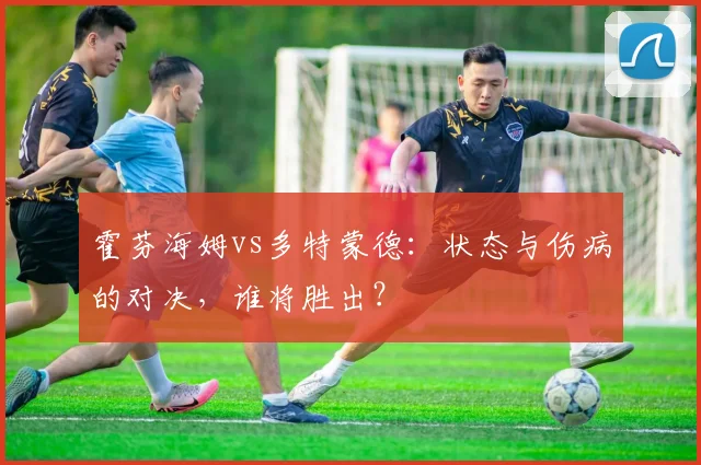 霍芬海姆vs多特蒙德:状态与伤病的对决,谁将胜出?
